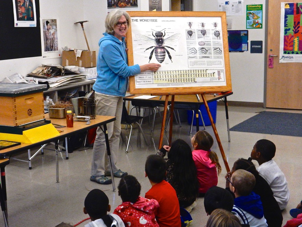 Discussion by Cynthia about the bee stinger and its removal kept the kids attention.