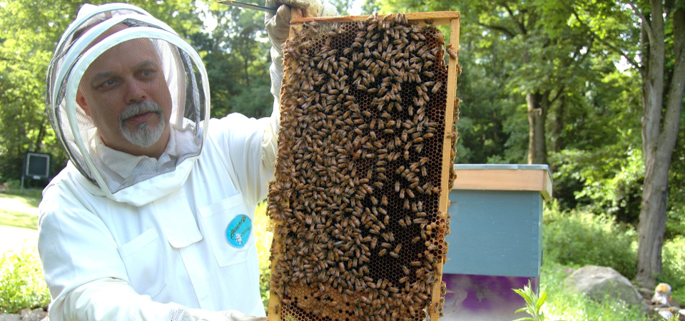 Beekeeper with frame