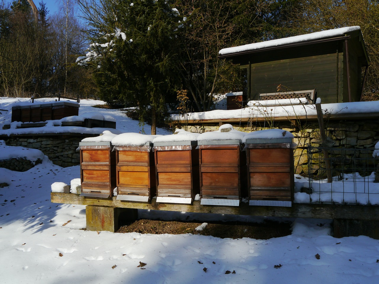 Hives in winter